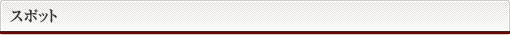 スポット