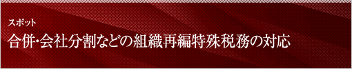 スポット 合併・会社分割などの組織再編特殊税務の対応